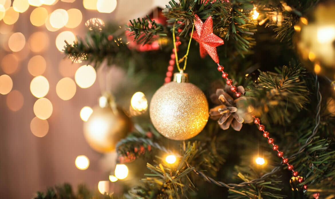 Contos de Natal: Árvore de Natal