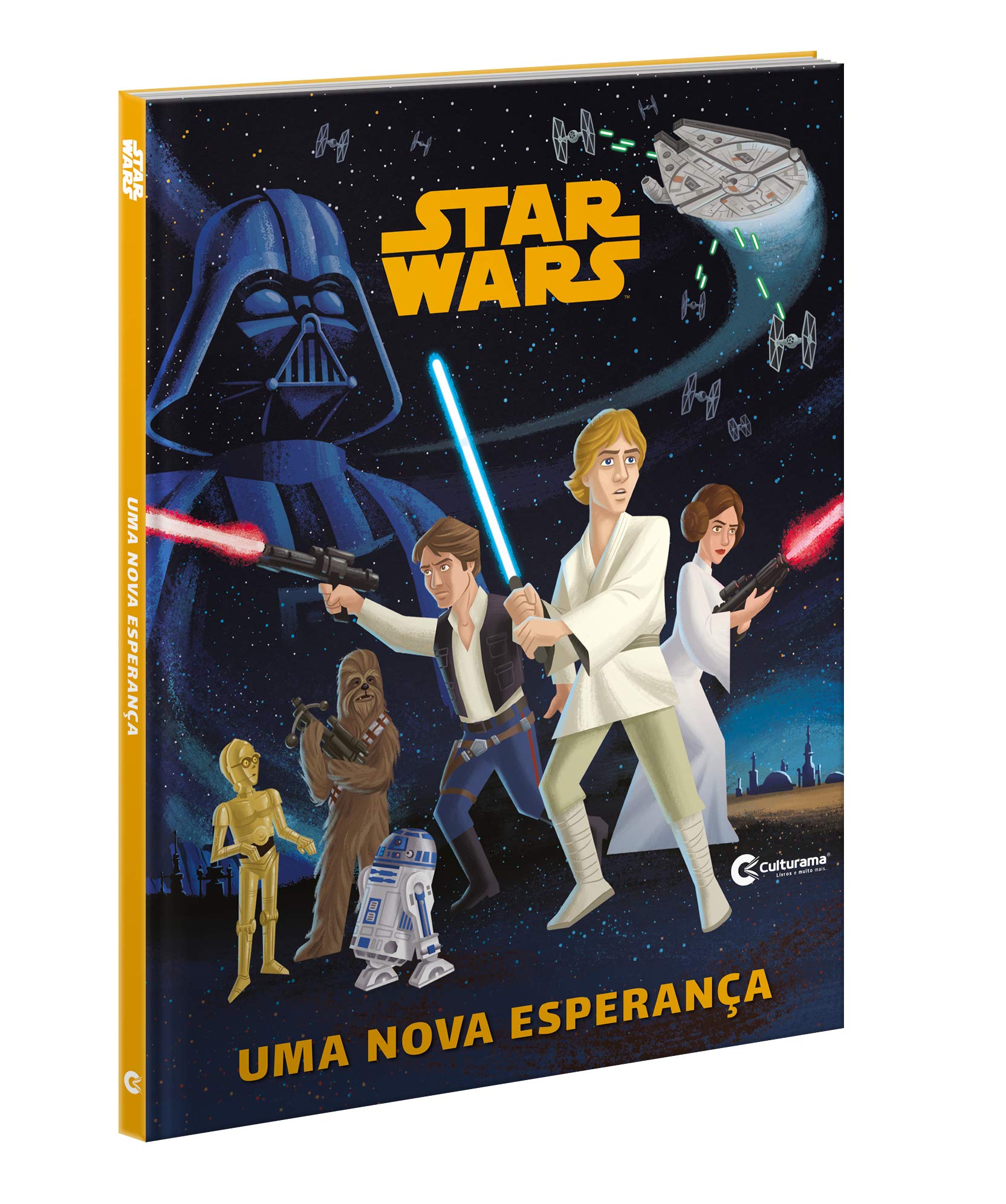 De Uma Nova Esperança aos Últimos Jedi: a representação feminina em Star  Wars - Valkirias